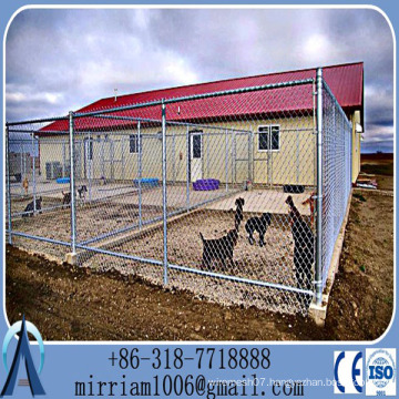 Galvanized Wire Dog Kennels /Tube Dog Crate/Pet Cages/Kennels